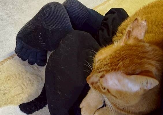 【お茶の水】〜きいろ〜