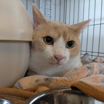 ビー【高円寺】