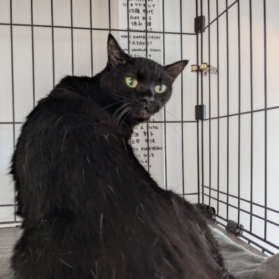 おこげ【高円寺】