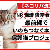 本気の「殺処分ゼロ」実現プロジェクト始動。猫の殺処分ゼロを“本当のゼロ”に！いのちを守るワンストップ保護猫プロジェクト、クラウドファンディング型ふるさと納税でスタート！
