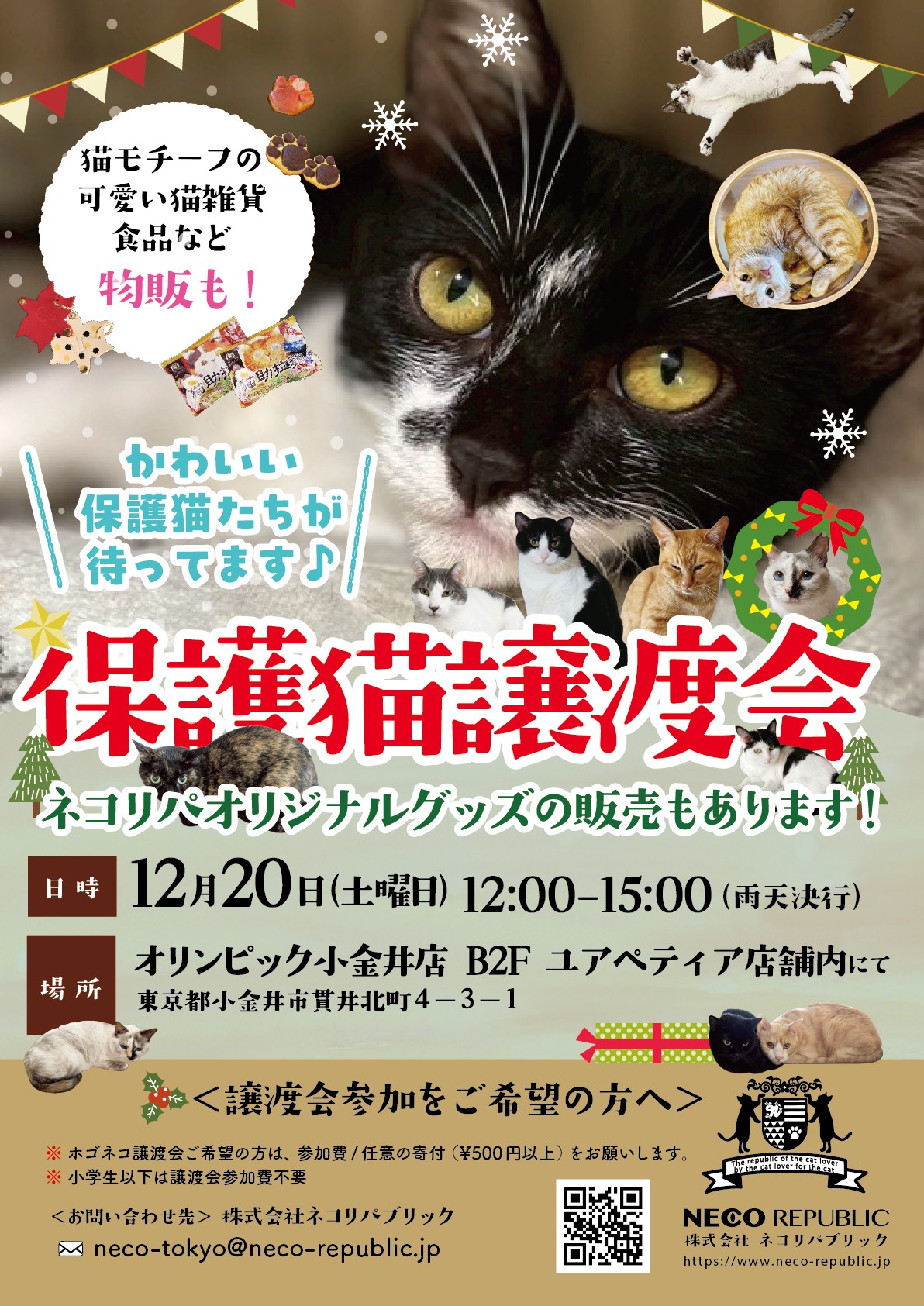 保護猫たちに家族というXmasプレゼントを！！譲渡会開催します