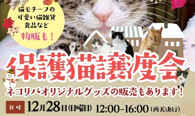 今年最後の🐾保護猫譲渡会🐾 in 大田区雪が谷大塚