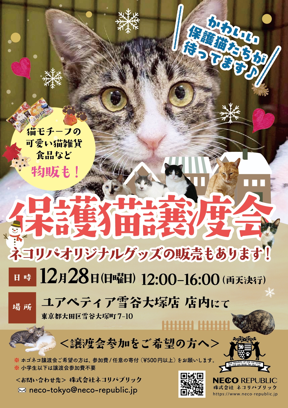 今年最後の🐾保護猫譲渡会🐾 in 大田区雪が谷大塚 | ネコリパブリック