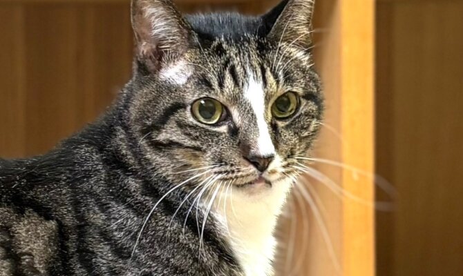 【お茶の水】〜マイキー〜