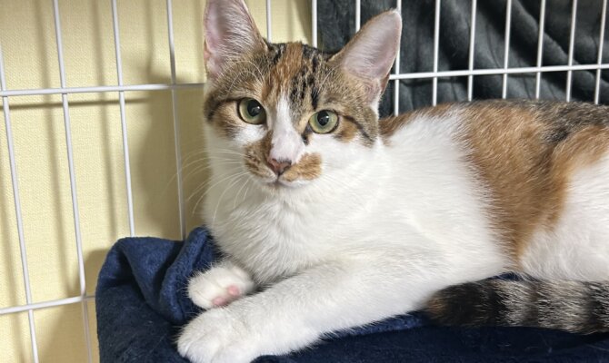 シャオシャオ＆チェンシーがトライアル開始です‼️