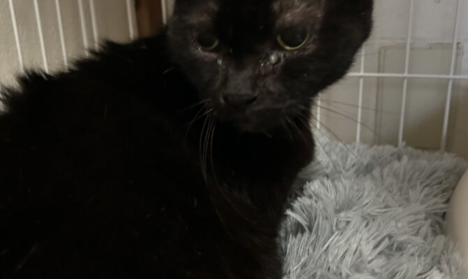 オハナ＆フネ＆モグが一緒にトライアルへ‼️