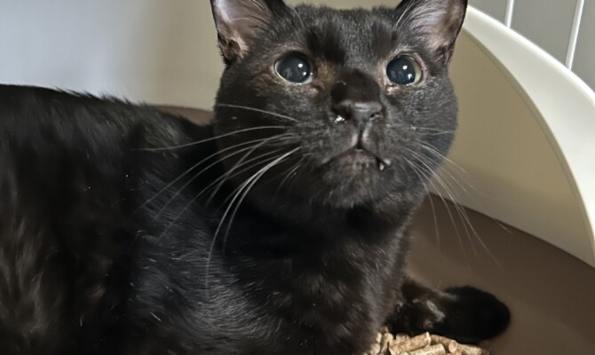 オハナ＆フネ＆モグが一緒にトライアルへ‼️