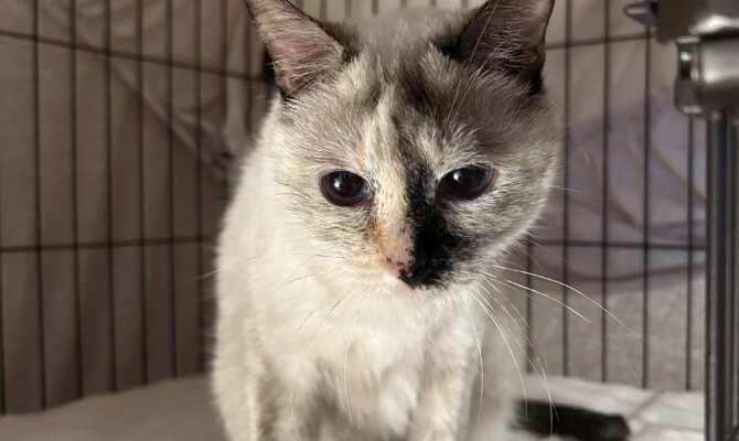 ミスキ＆チャスキが一緒にトライアルへ‼️