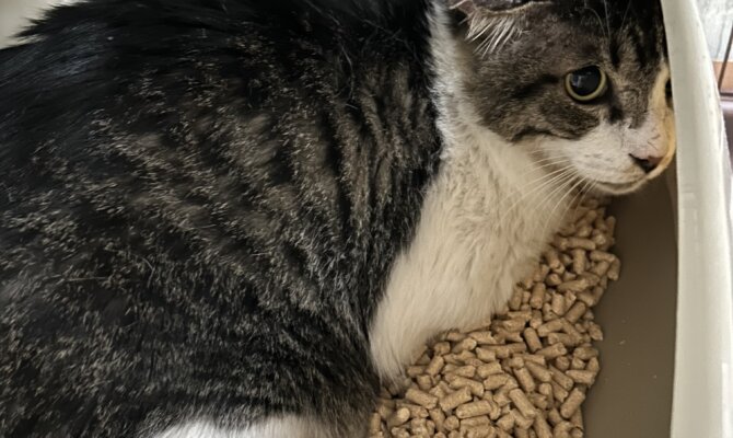 ブディーノ＆クリープ🍎が一緒にトライアル開始‼️