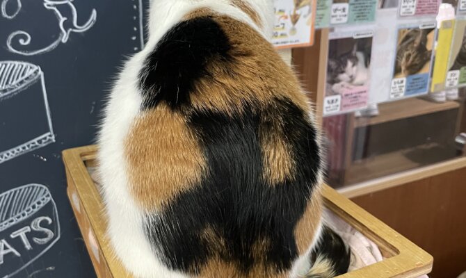 【お茶の水】〜こもび〜