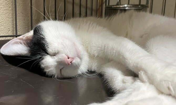 【お茶の水】〜くるる〜