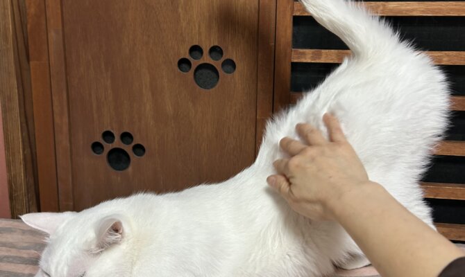 【お茶の水】〜出雲〜