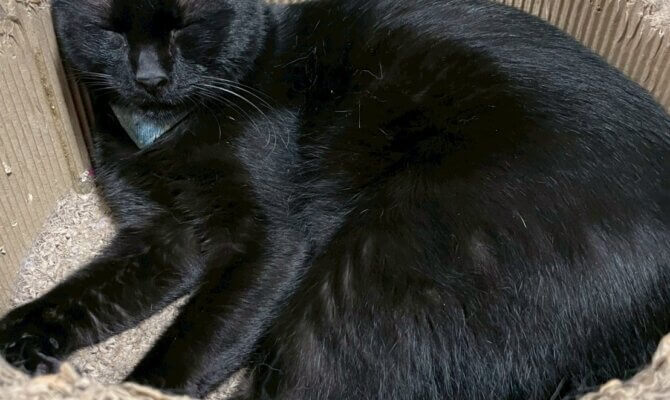 【お茶の水】〜チュロ〜