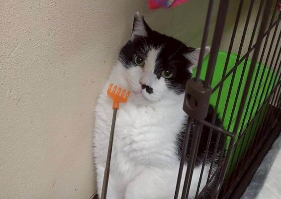 【お茶の水】〜ろん〜