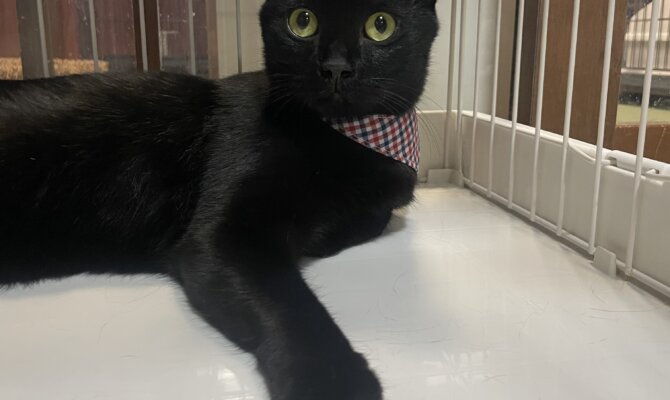 【お茶の水】〜チュロ〜