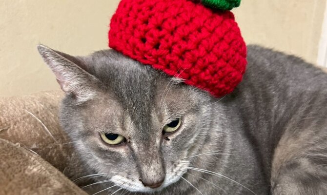 【お茶の水】〜ぴー太〜