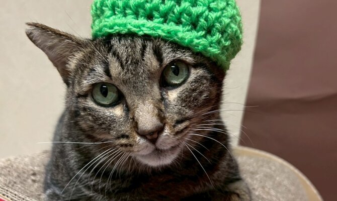 【お茶の水】〜キジ介〜