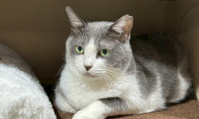 【お茶の水】〜プッシュ〜