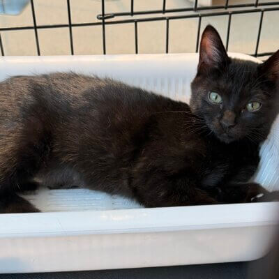 クロム【大阪熊取店】