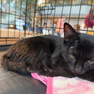 ミズ【大阪熊取店】