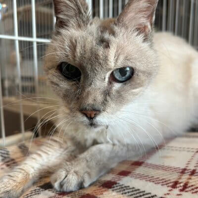 ぎん【大阪熊取店】