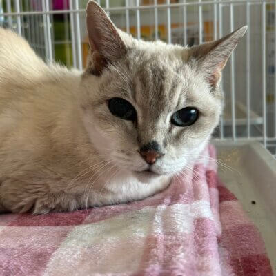 きん【大阪熊取店】