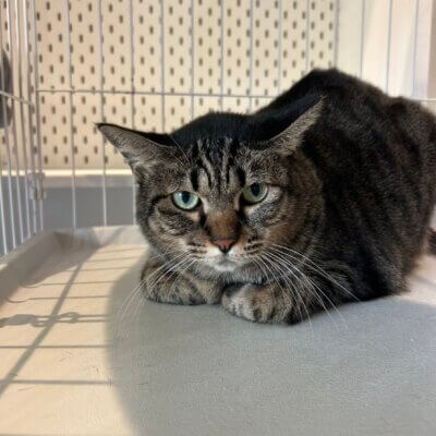 ジュディー【大阪熊取店】