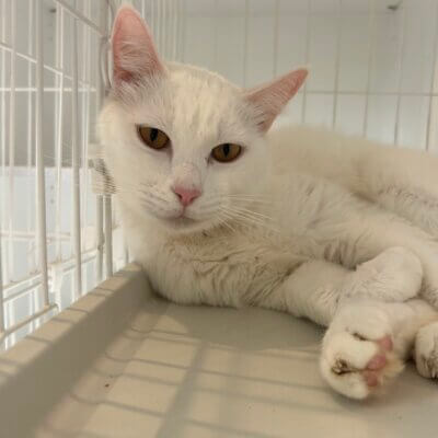 ワイルド【大阪熊取店】