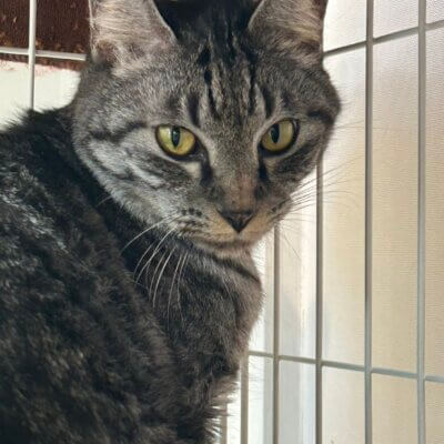 ニック【大阪熊取店】