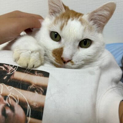 チャーリー【大阪熊取店】