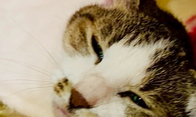 【お茶の水】〜クリープ〜