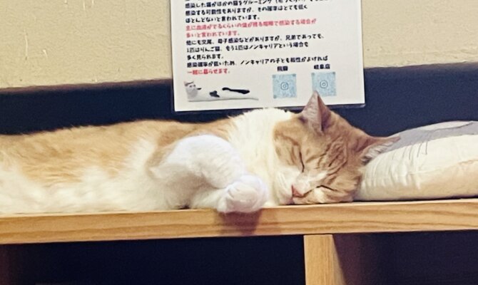 【お茶の水】〜やぎん〜