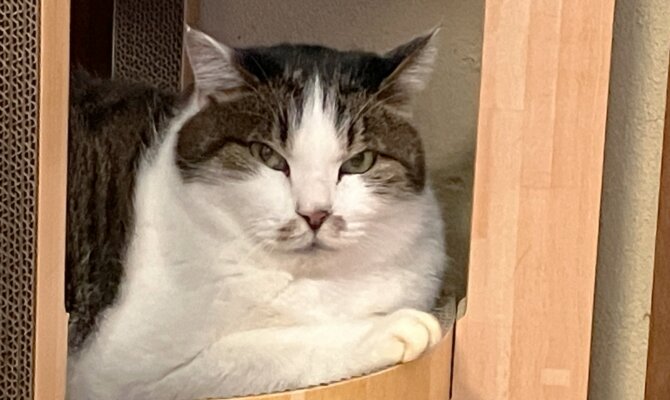 【お茶の水】〜おいたん〜