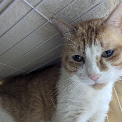 ボジョレー【高円寺】