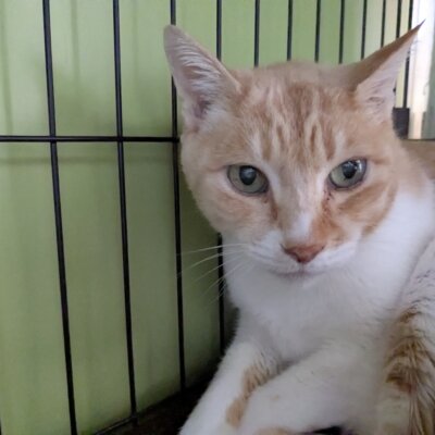 スー【高円寺】