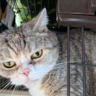 マドンナ【高円寺】