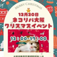 大阪の猫好きさん集合！12/20(土)は、ネコリパ大阪のクリスマスイベントへGO！