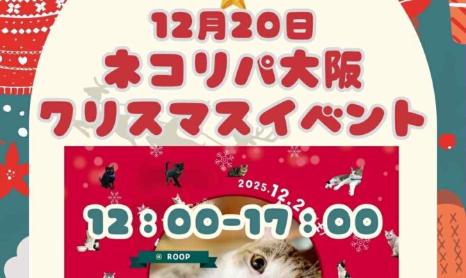 大阪の猫好きさん集合！12/20(土)は、ネコリパ大阪のクリスマスイベントへGO！