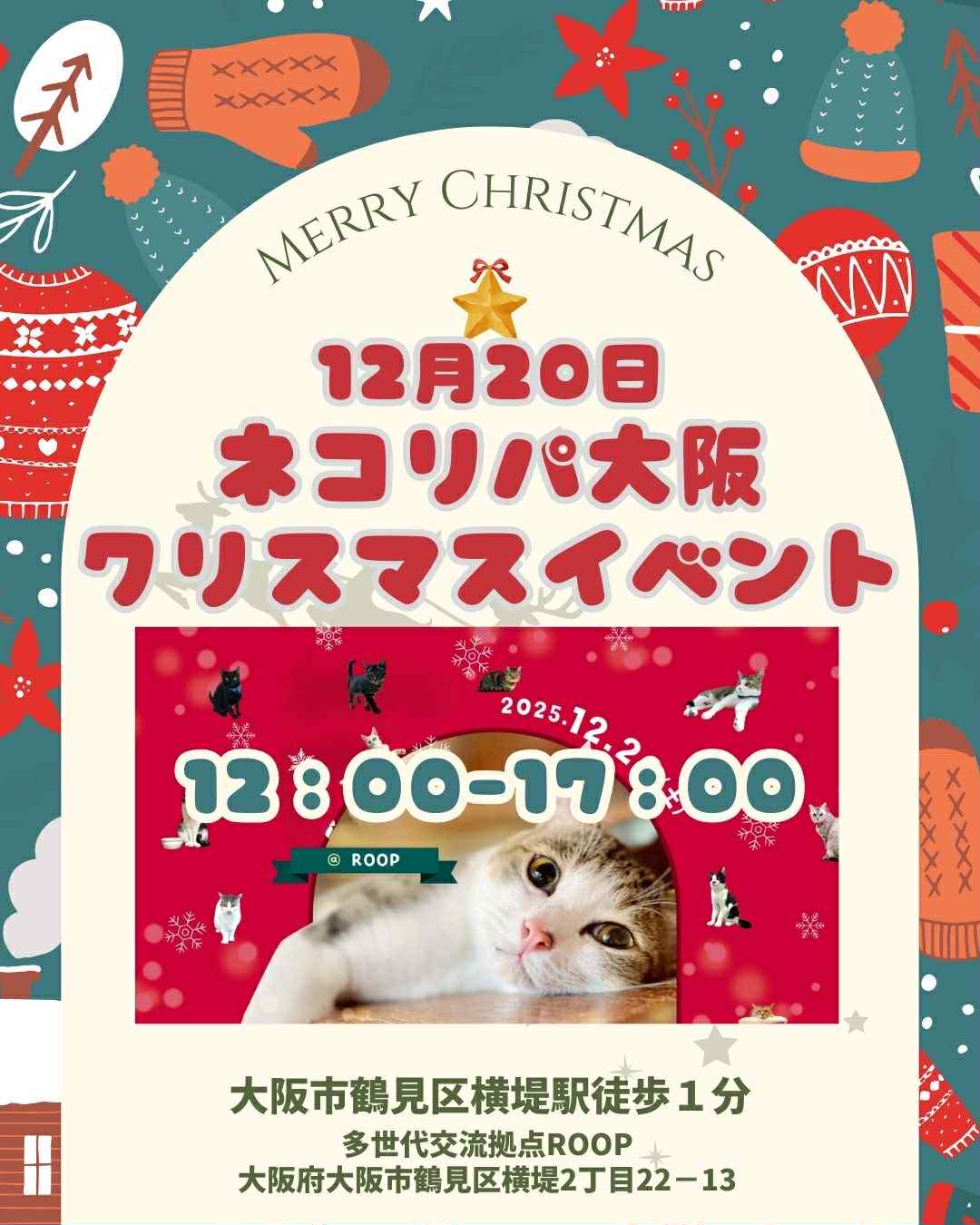 大阪の猫好きさん集合！12/20(土)は、ネコリパ大阪のクリスマス