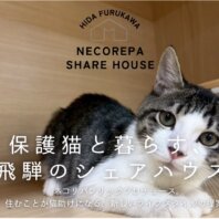 【岐阜県飛騨市】「猫と暮らす」が「猫助け」になる。保護猫8匹と人間5人が家族になる「ネコリパシェアハウス」入居者募集開始！〜空き家活用で猫と人の新しい共生モデル〜