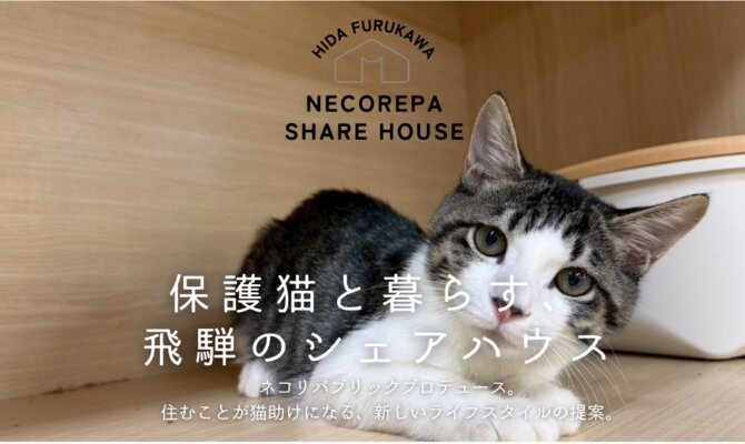 【岐阜県飛騨市】「猫と暮らす」が「猫助け」になる。保護猫8匹と人間5人が家族になる「ネコリパシェアハウス」入居者募集開始！〜空き家活用で猫と人の新しい共生モデル〜