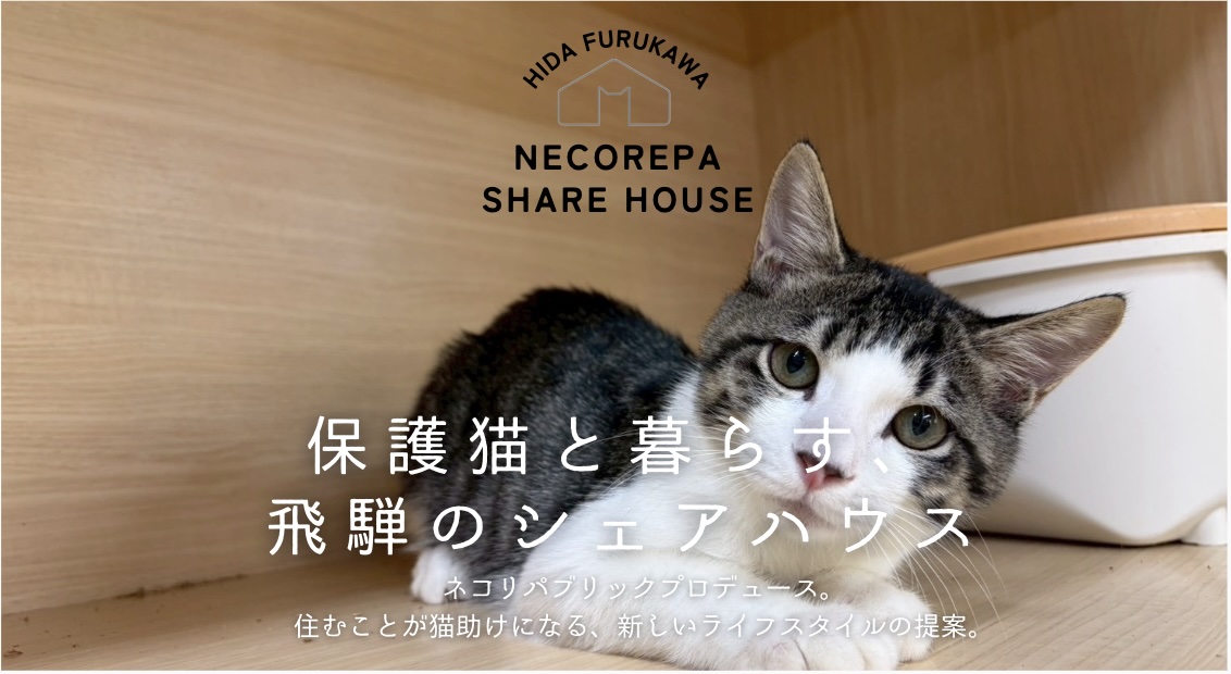 岐阜県飛騨市】「猫と暮らす」が「猫助け」になる。保護猫8匹と人間5人