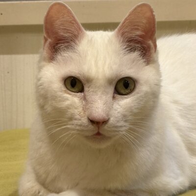 あめ【千葉店】