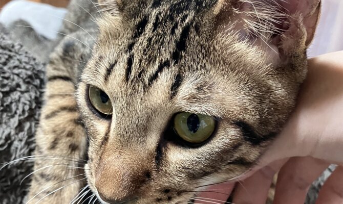 【お茶の水】〜大野けんいち〜