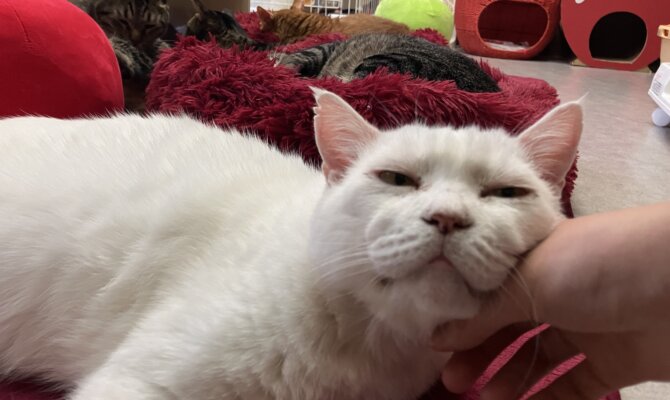 【お茶の水】〜お父さん〜