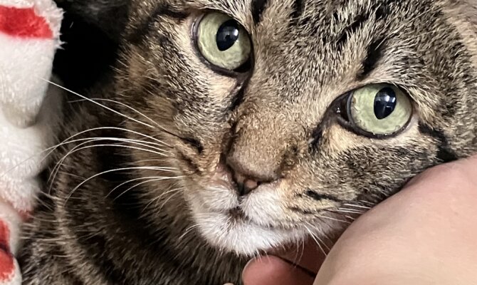 【お茶の水】〜キジ介〜