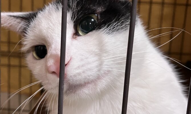 【お茶の水】〜くるる〜