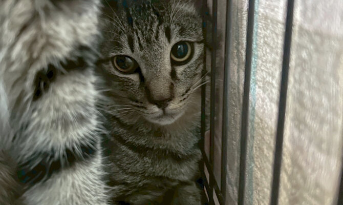 【お茶の水】〜尾到(びとう)〜