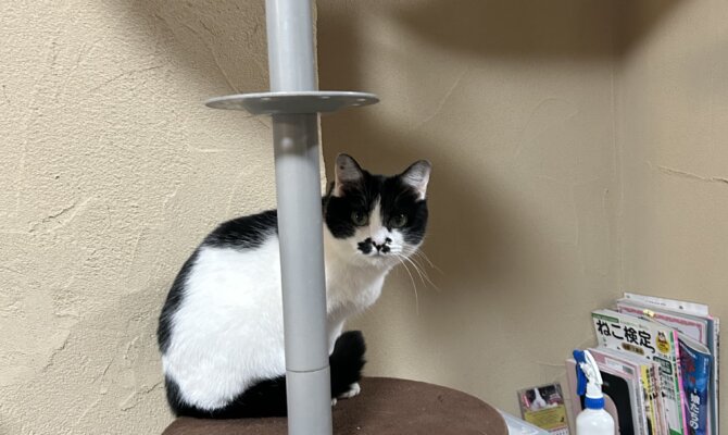 【お茶の水】〜ちゃんぽん〜