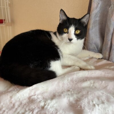 トニース【飛騨】